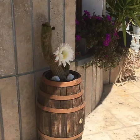 Grazioso Alle Porte Del Chianti Castelnuovo de' Sabbioni