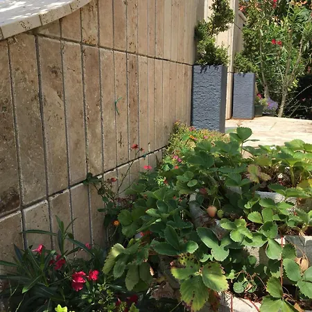 Apartmán Grazioso Alle Porte Del Chianti *